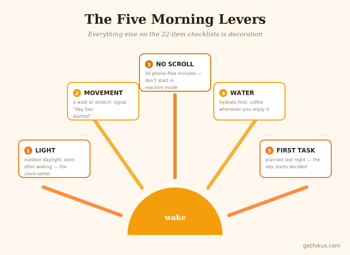 Infographic: the five morning levers that have evidence behind them — light, movement, no early scroll, hydration, one planned first task