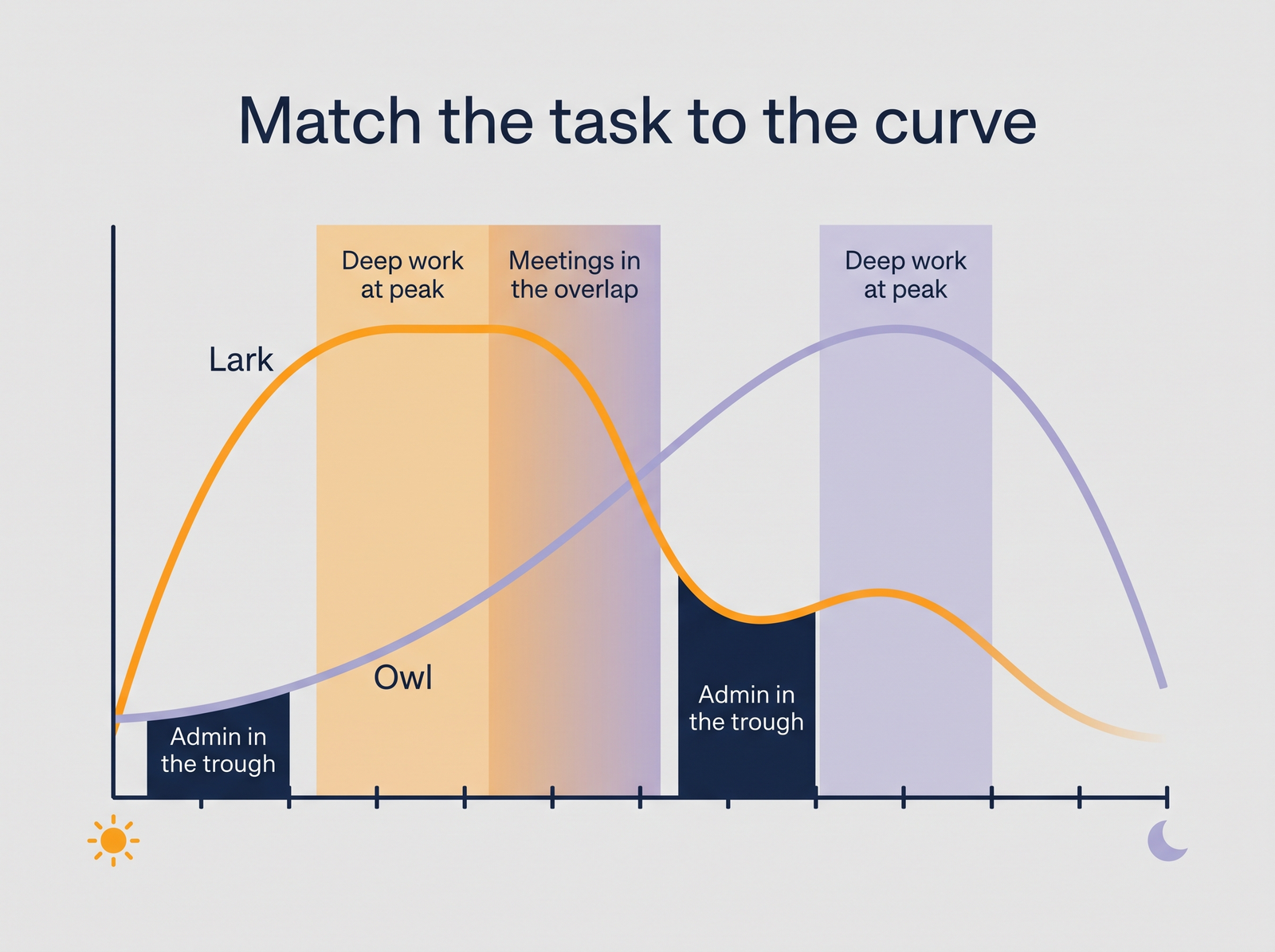 Line chart of alertness across a workday from morning to evening, with a lark curve peaking in the morning and dipping after lunch and an owl curve rising slowly to a late-afternoon peak, annotated to place deep work at each person's peak, meetings in the shared middle, and admin in the trough